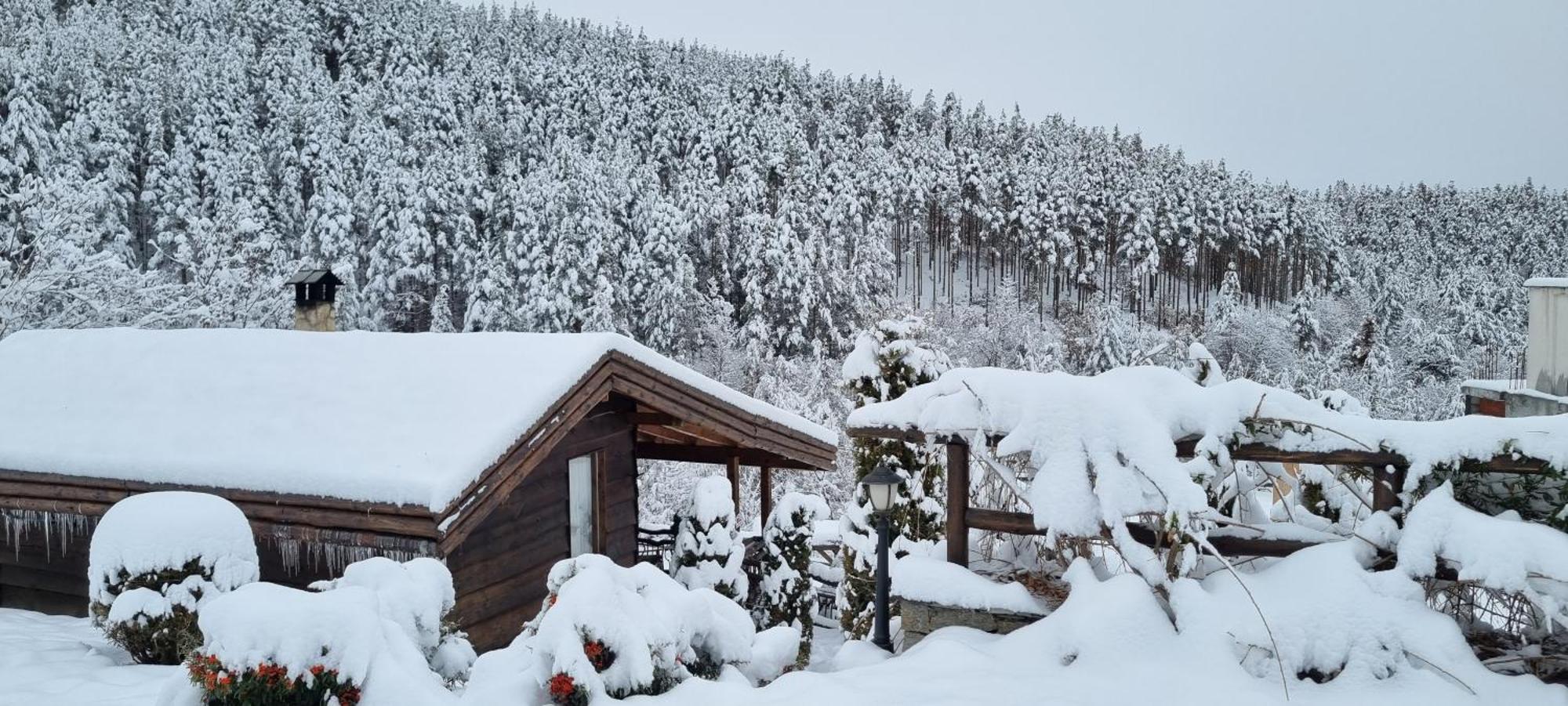 Панорама Хаус Лещен И Еко Къщи Дървена И Землянка Exterior foto
