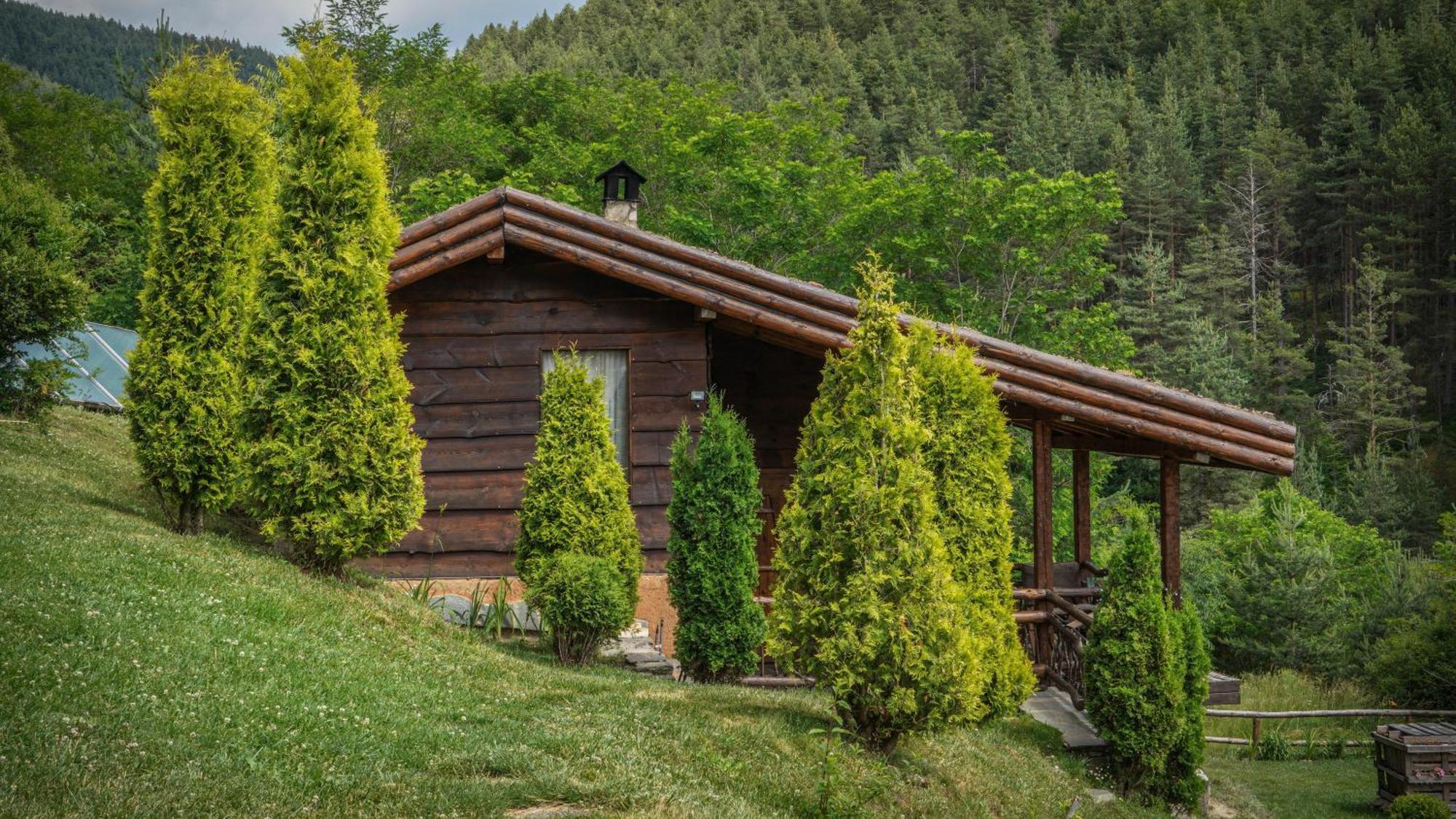 Панорама Хаус Лещен И Еко Къщи Дървена И Землянка Exterior foto
